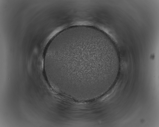 X0000094971221200712061420