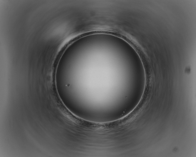 X0000094971222200712061420