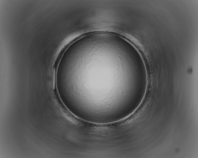 X0000094971223200712061420