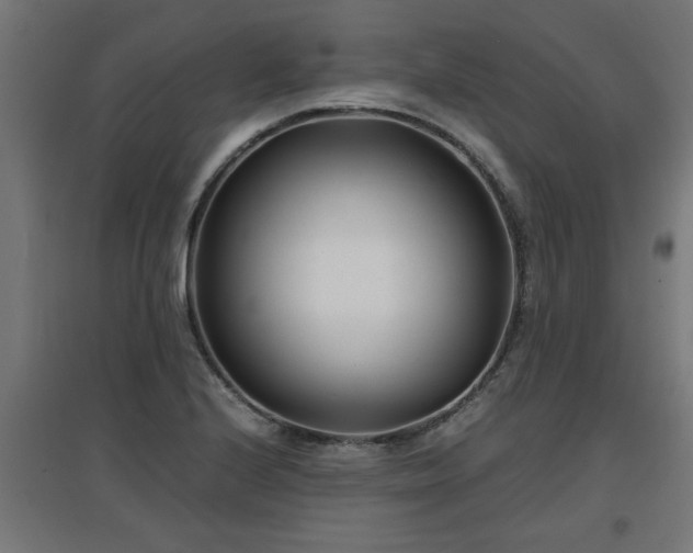 X0000094971224200712061420