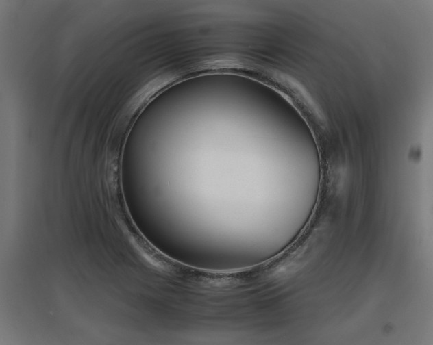 X0000094971225200712061420