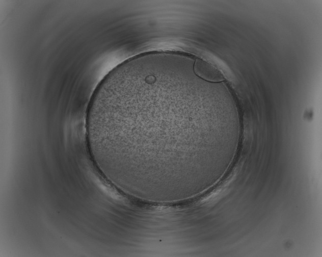 X0000094971226200712061420