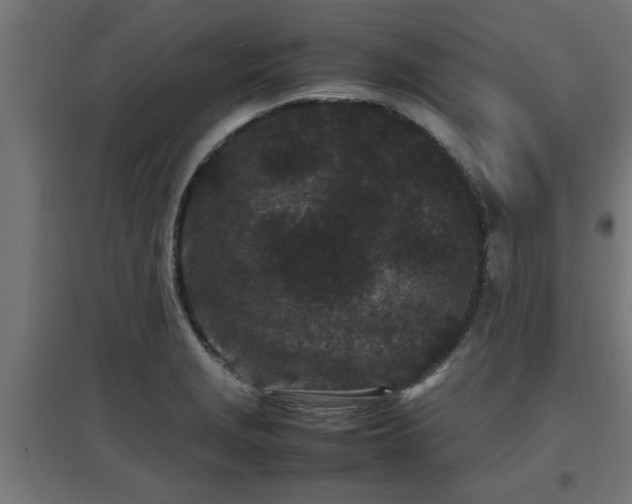 X0000094971229200712061420