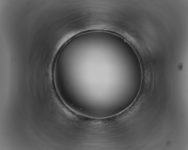 X0000094971230200712061420