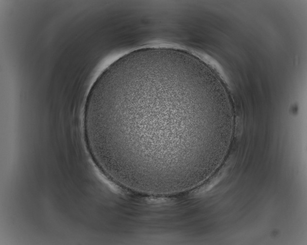 X0000094971231200712061420