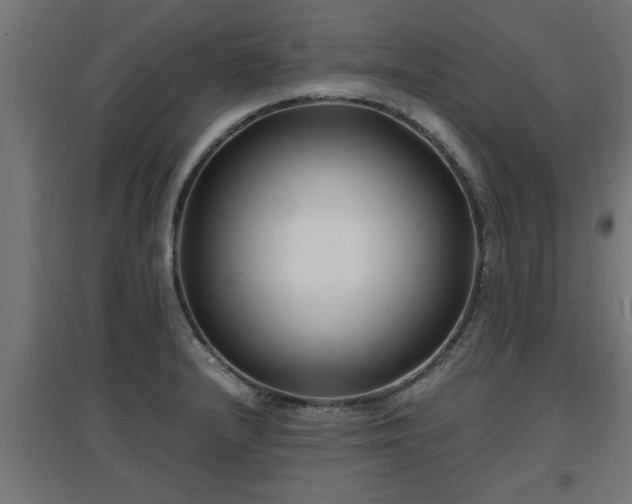 X0000094971232200712061420