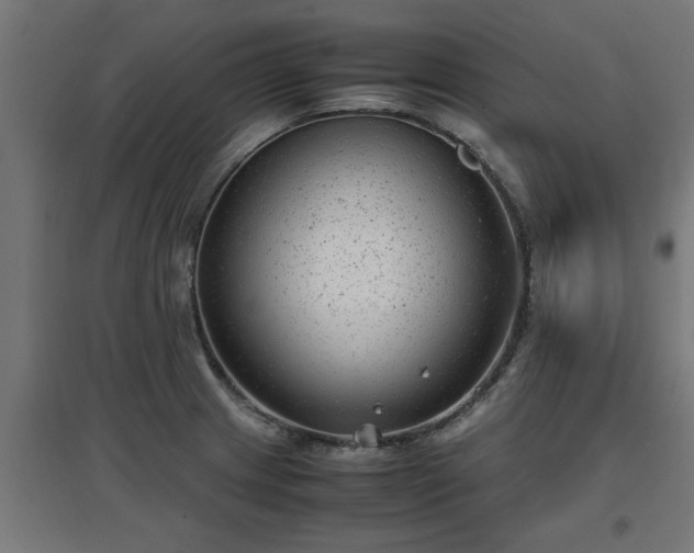 X0000094971233200712061420