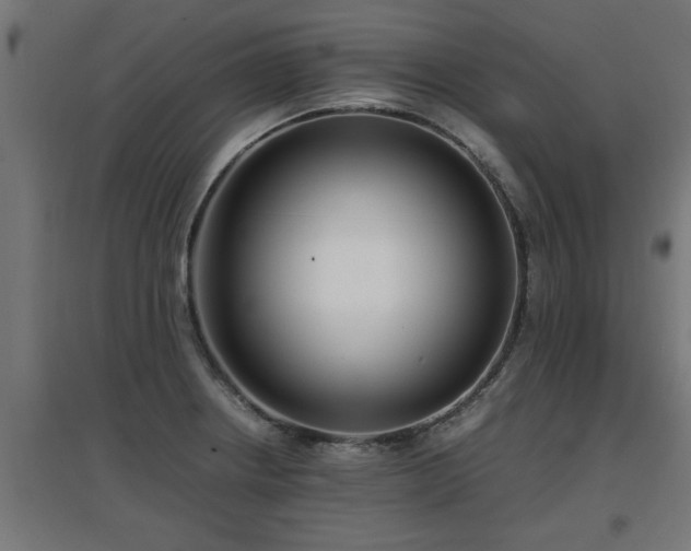 X0000094971234200712061420