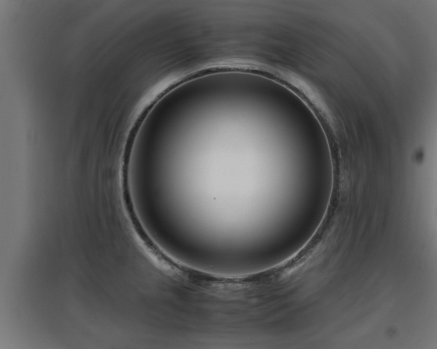 X0000094971237200712061420