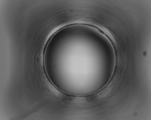 X0000094971238200712061420