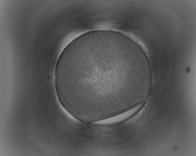 X0000094971239200712061420