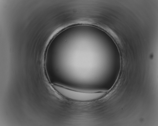 X0000094971240200712061420