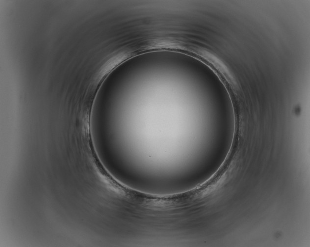 X0000094971241200712061420