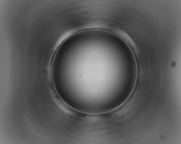 X0000094971242200712061420