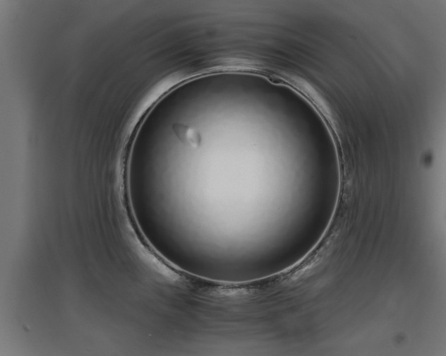 X0000094971243200712061420