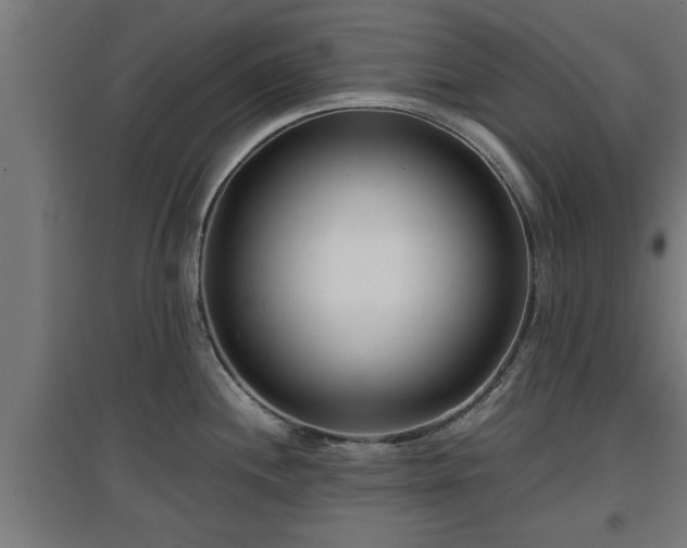 X0000094971244200712061420