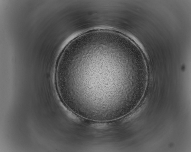 X0000094971245200712061420