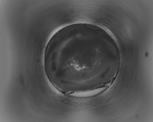 X0000094971246200712061420