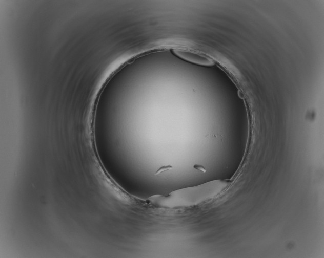 X0000094971248200712061420