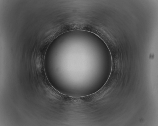 X0000094971250200712061419