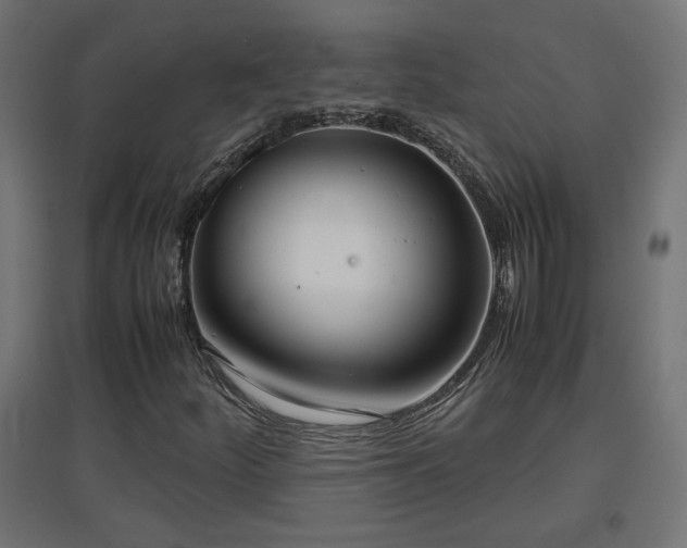 X0000094971252200712061419