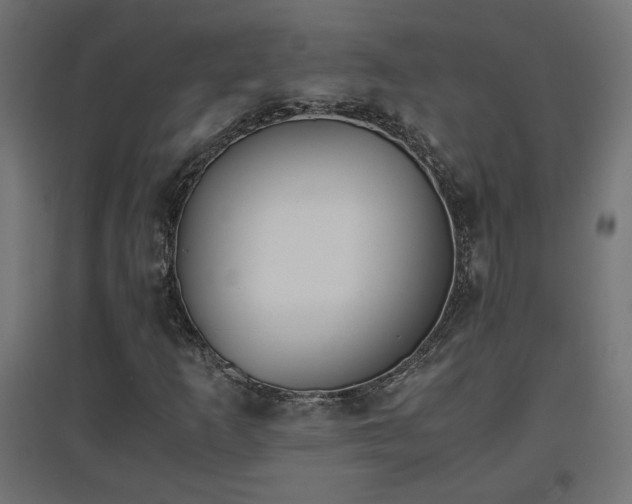 X0000094971253200712061419