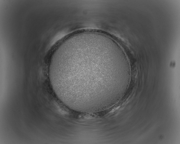 X0000094971255200712061419