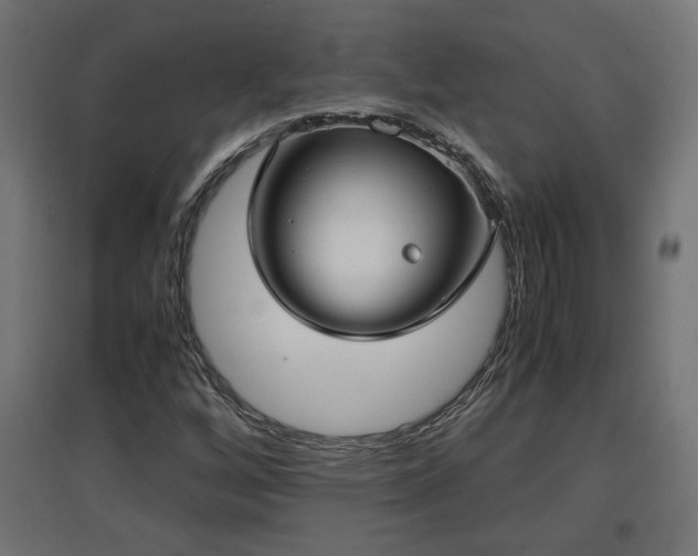 X0000094971256200712061419