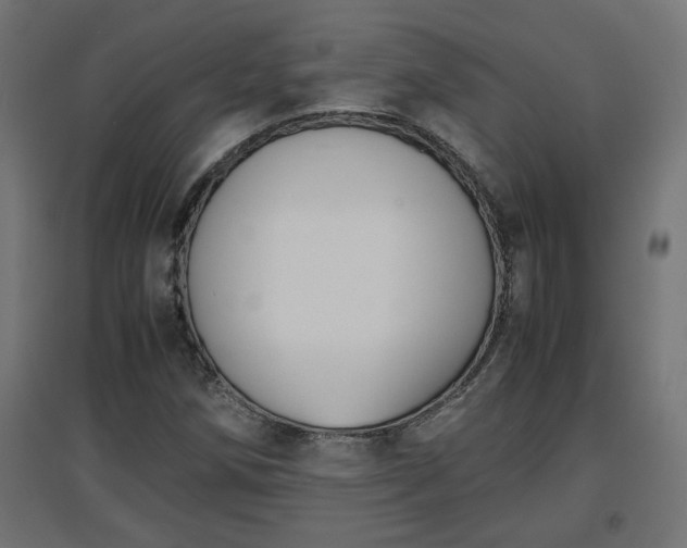 X0000094971258200712061419