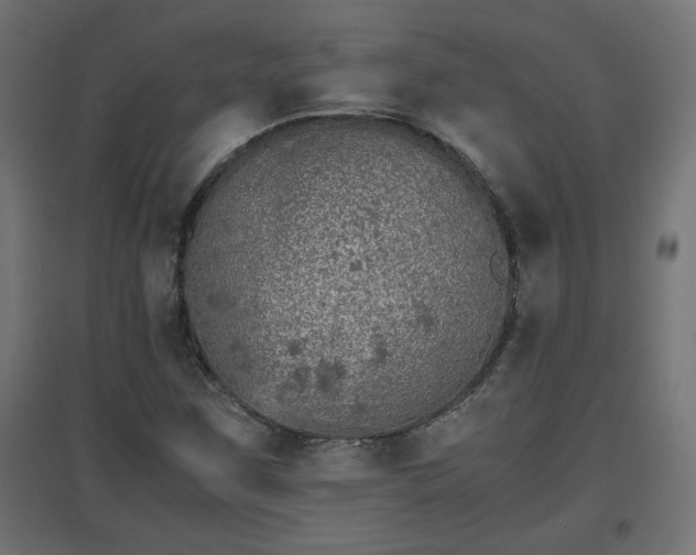 X0000094971259200712061419