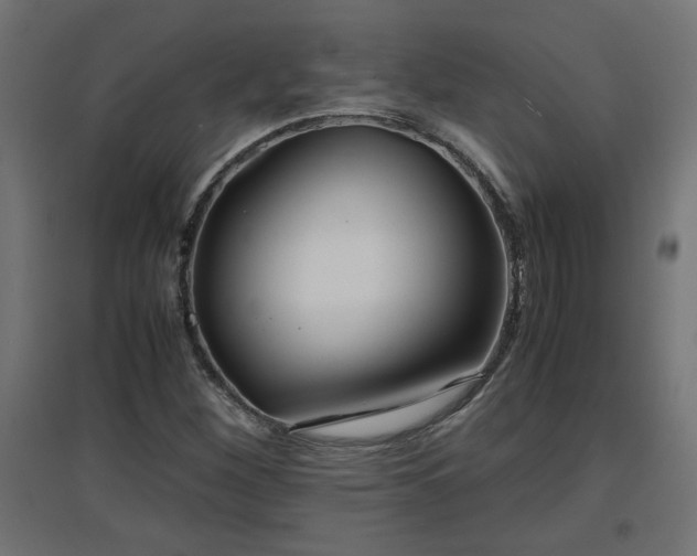 X0000094971260200712061419