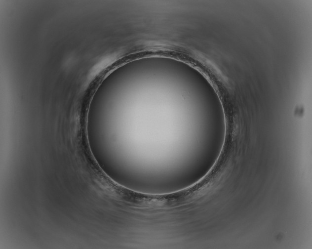 X0000094971261200712061419