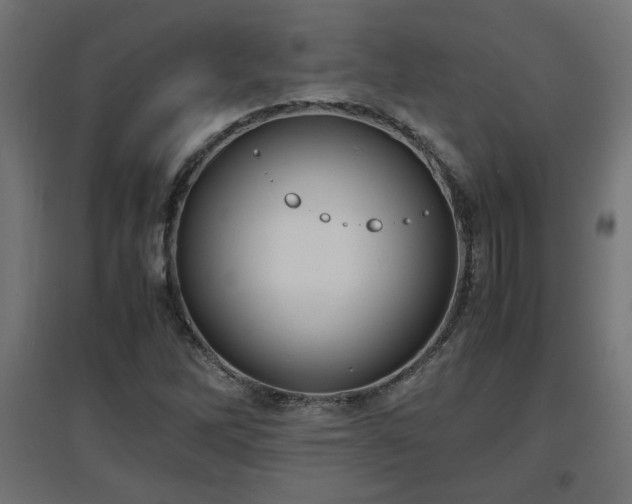 X0000094971262200712061419