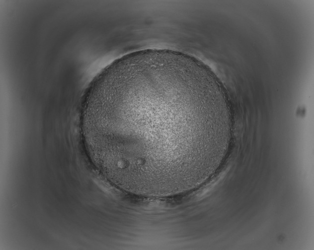 X0000094971263200712061419