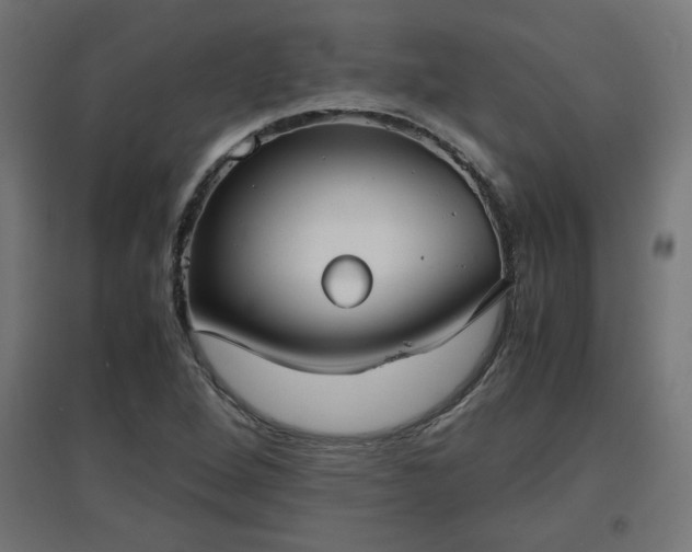 X0000094971264200712061419