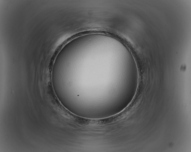 X0000094971267200712061419