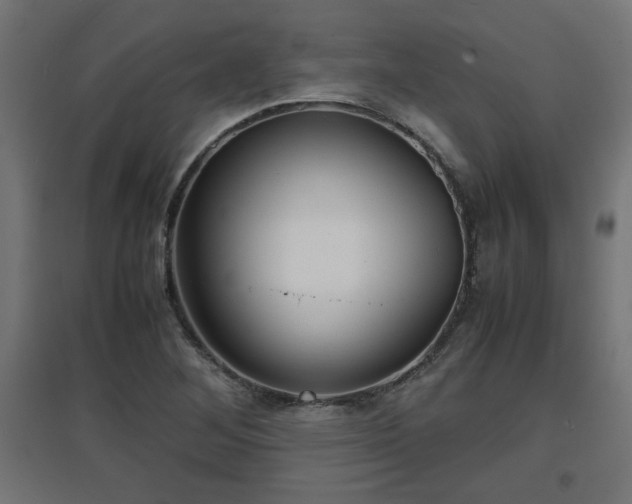 X0000094971268200712061419