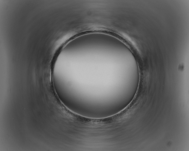 X0000094971269200712061419