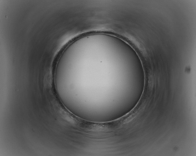 X0000094971270200712061419