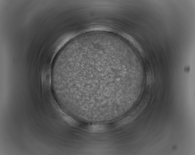 X0000094971274200712061419