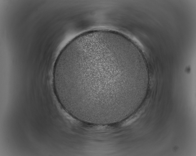 X0000094971279200712061419