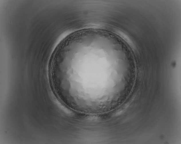 X0000094971283200712061419