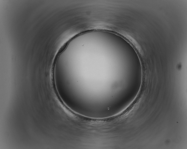 X0000094971285200712061419