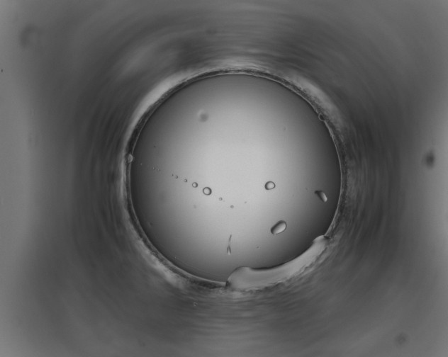 X0000094971286200712061419