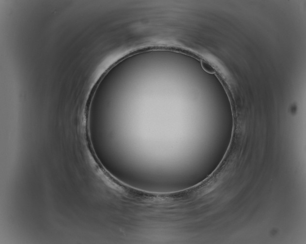 X0000094971287200712061419