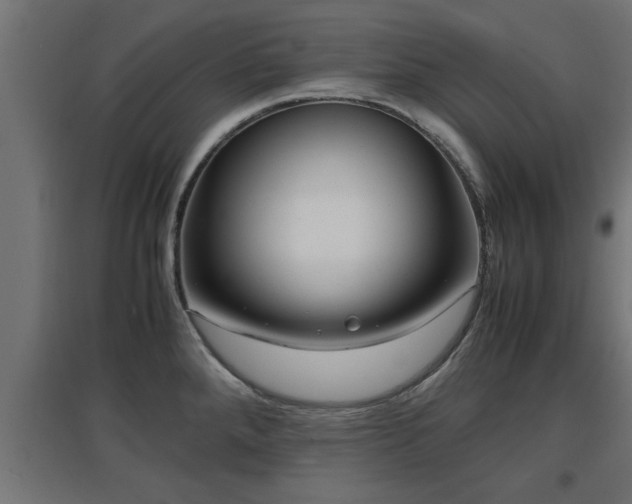 X0000094971288200712061419