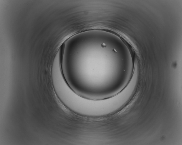 X0000094971289200712061419