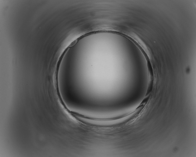 X0000094971293200712061419