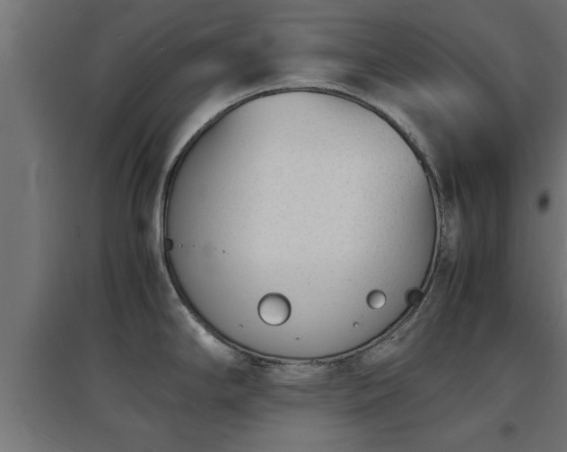 X0000094971294200712061419