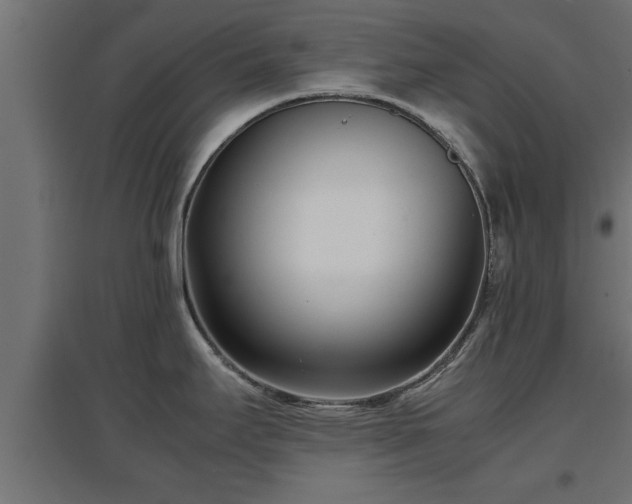 X0000094971295200712061419